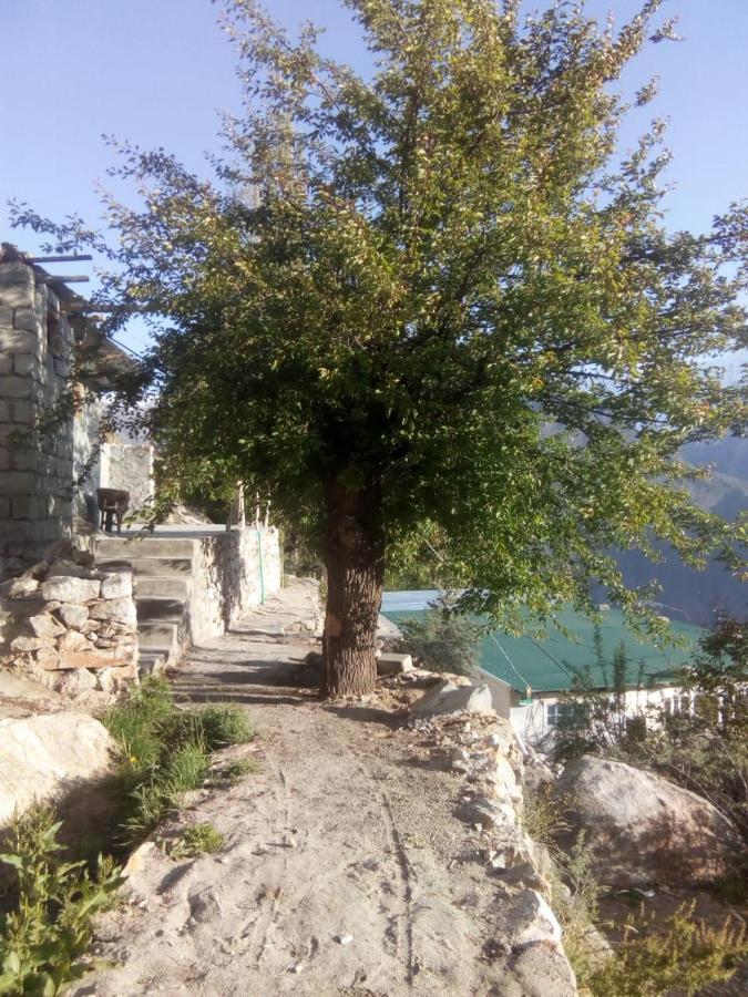 Venus Mountain Resort, Hunza Karimabad  Exterior foto
